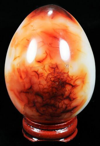 Colorful Carnelian Agate Egg #55552